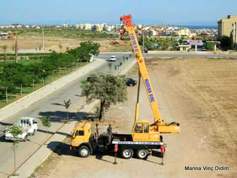 marina-vinc-didim marina-vinc-didim