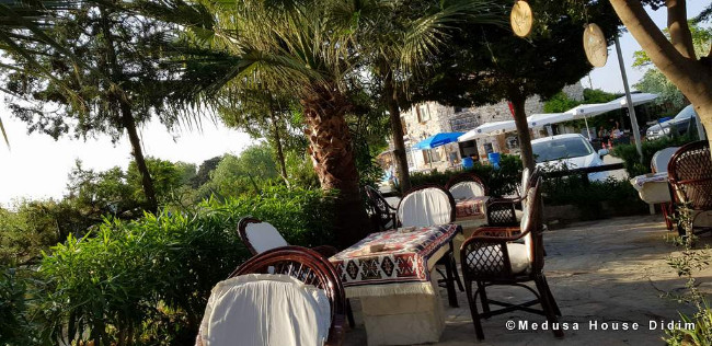 didim-medusa-house-pansiyon-garden didim-medusa-house-pansiyon-garden