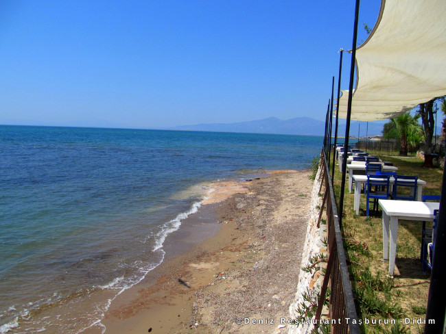 deniz-restaurant-didim-sahil deniz-restaurant-didim-sahil